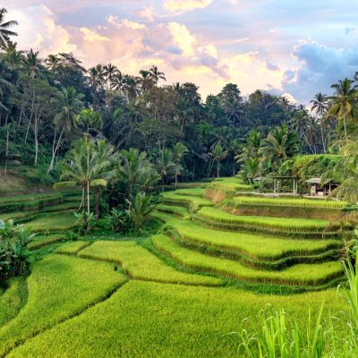Asia