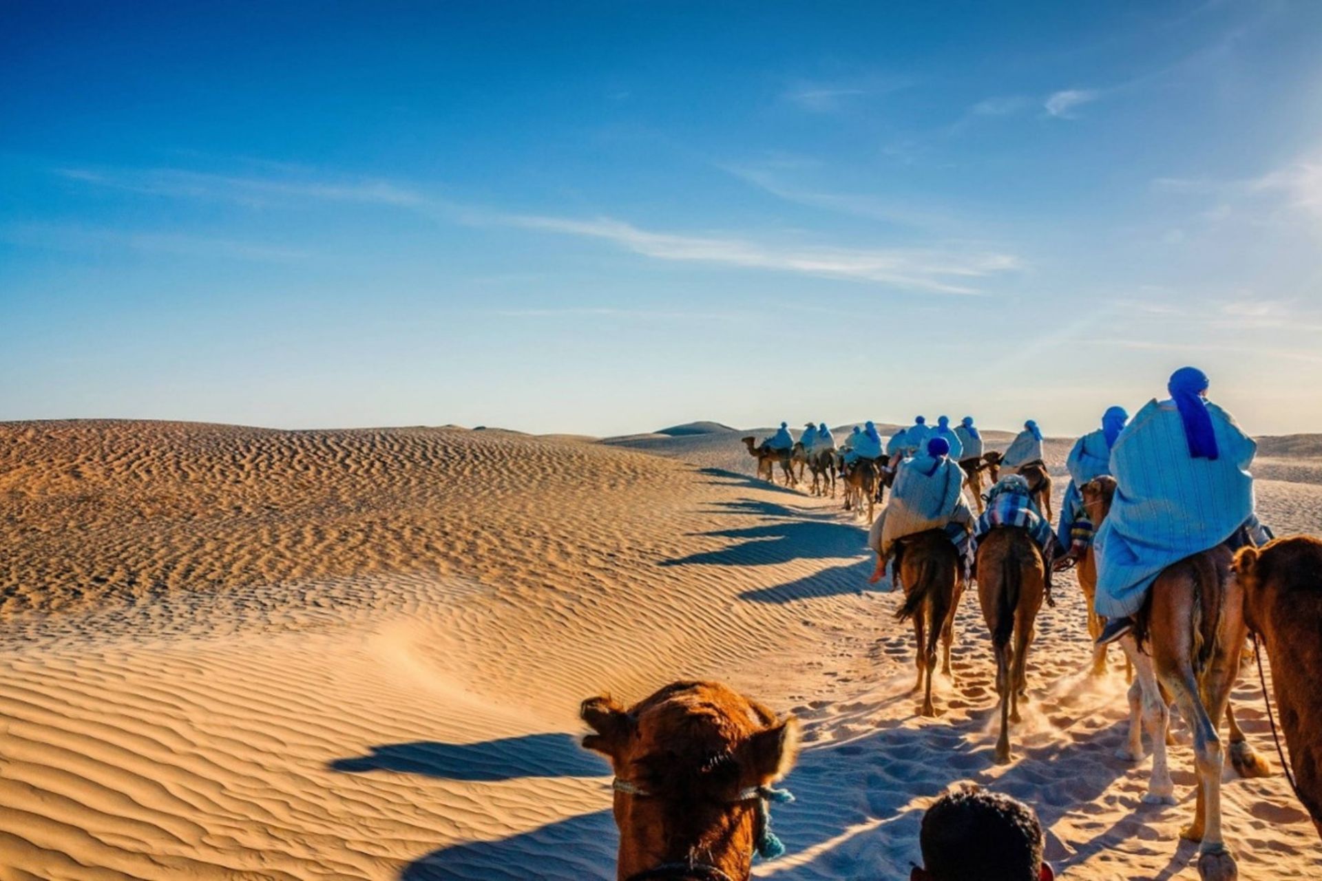 TOUR DELLA TUNISIA_VILLAGGI BERBERI E OASI DEL DESERTO