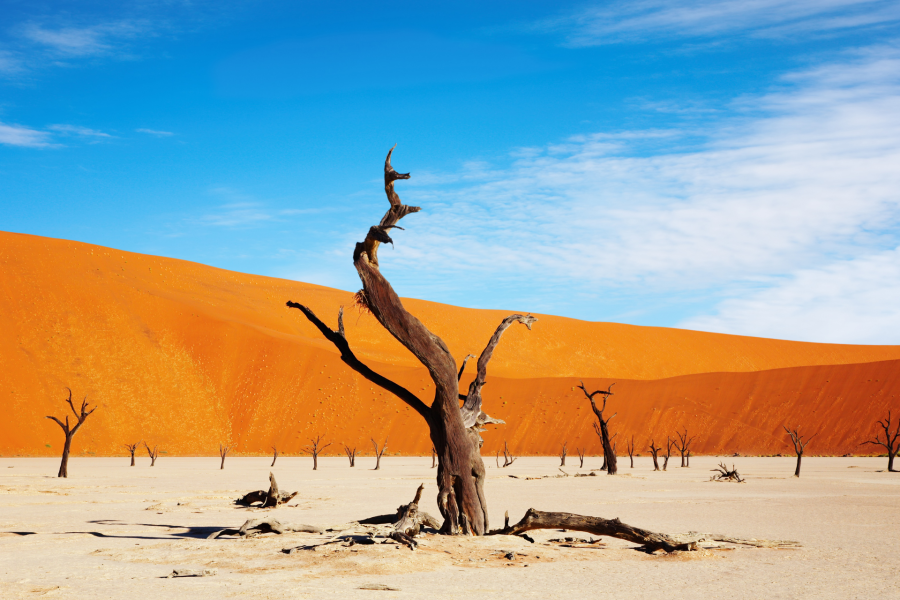 TOUR DISCOVER NAMIBIA