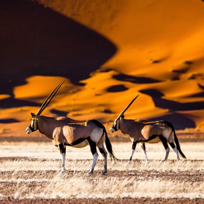 Namibia