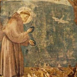 Pellegrinaggio diocesano Assisi