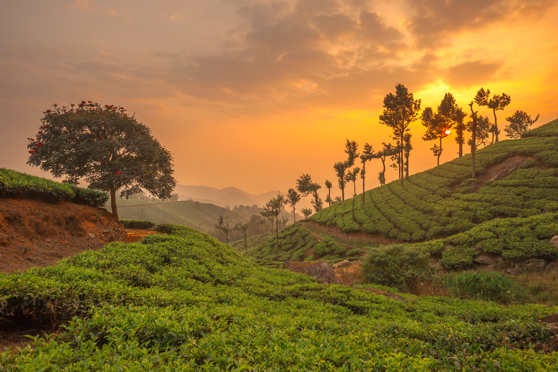 KERALA E ISOLE LACCADIVE